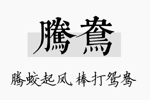 腾鸯名字的寓意及含义