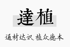 达植名字的寓意及含义