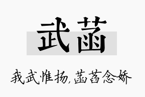 武菡名字的寓意及含义