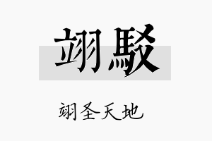 翊驳名字的寓意及含义