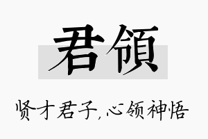 君领名字的寓意及含义