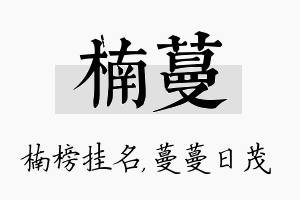 楠蔓名字的寓意及含义