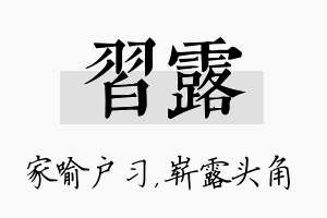 习露名字的寓意及含义