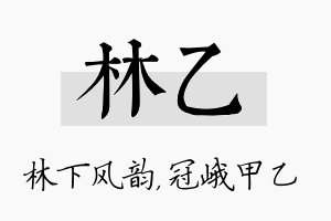 林乙名字的寓意及含义