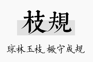 枝规名字的寓意及含义