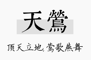 天莺名字的寓意及含义