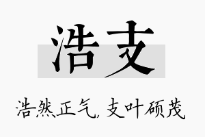 浩支名字的寓意及含义