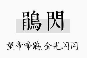 鹃闪名字的寓意及含义