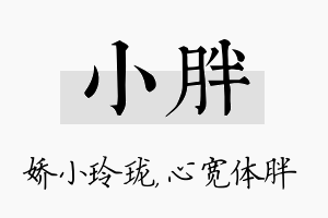 小胖名字的寓意及含义