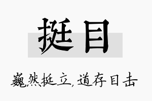 挺目名字的寓意及含义