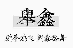 举鑫名字的寓意及含义