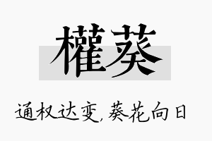 权葵名字的寓意及含义