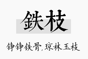 铁枝名字的寓意及含义