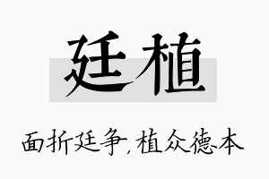 廷植名字的寓意及含义