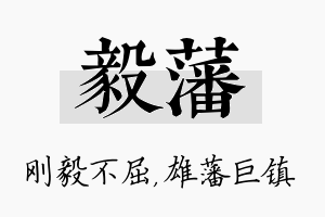 毅藩名字的寓意及含义