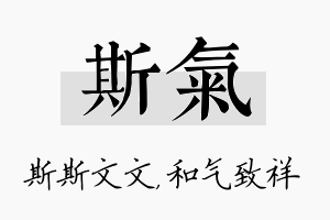 斯气名字的寓意及含义