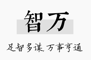 智万名字的寓意及含义