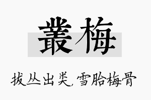 丛梅名字的寓意及含义