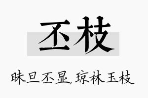 丕枝名字的寓意及含义