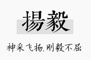 扬毅名字的寓意及含义