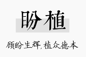 盼植名字的寓意及含义