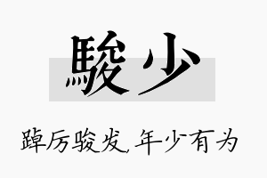 骏少名字的寓意及含义