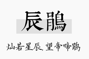 辰鹃名字的寓意及含义