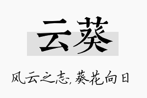 云葵名字的寓意及含义