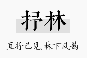 抒林名字的寓意及含义