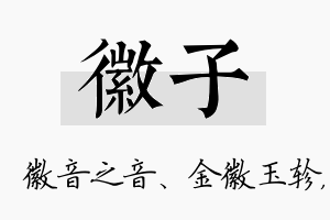 徽子名字的寓意及含义