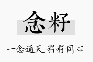 念籽名字的寓意及含义