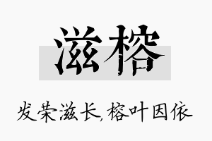 滋榕名字的寓意及含义