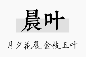 晨叶名字的寓意及含义