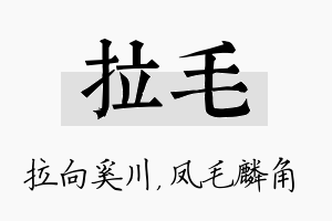 拉毛名字的寓意及含义