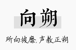 向朔名字的寓意及含义