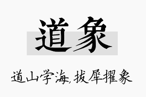 道象名字的寓意及含义