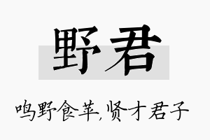 野君名字的寓意及含义