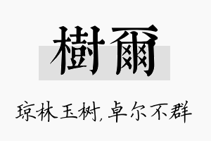 树尔名字的寓意及含义