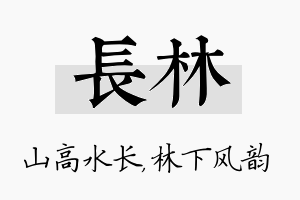 长林名字的寓意及含义