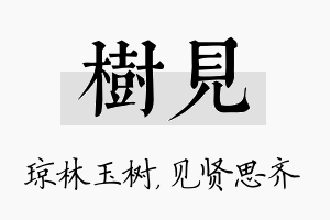 树见名字的寓意及含义