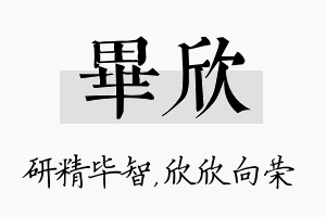 毕欣名字的寓意及含义