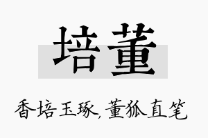 培董名字的寓意及含义