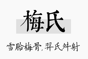 梅氏名字的寓意及含义