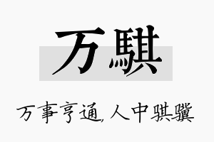 万骐名字的寓意及含义