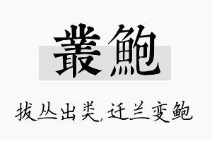 丛鲍名字的寓意及含义