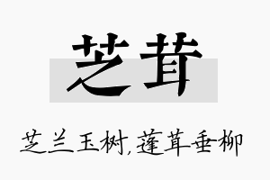 芝茸名字的寓意及含义