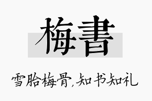 梅书名字的寓意及含义