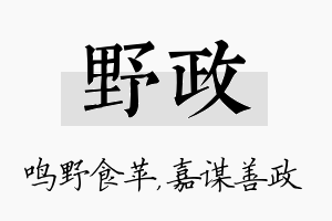 野政名字的寓意及含义