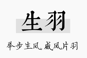 生羽名字的寓意及含义