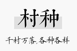 村种名字的寓意及含义